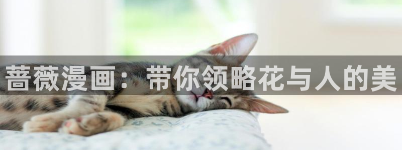 免费韩漫漫画网址：蔷薇漫画：带你领略花与人的美